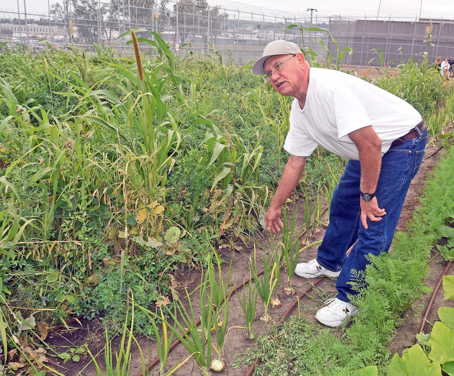 Prison garden